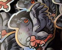 Pigeon Sticker