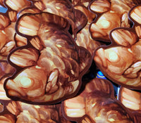 Coelocanth Taiyaki Sticker
