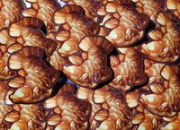 Coelocanth Taiyaki Sticker