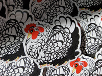 Chicken Sticker Big Juicy the Silver Laced Cochin Hen Cute Chicken- IN STOCK - Emergency vet support!
