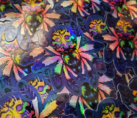 Typhochlaena seladonia holographic sticker - Brazilian jewel tarantula - Spider arachnid invertebrate new world T. seladonia holo rainbow