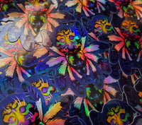 Typhochlaena seladonia holographic sticker - Brazilian jewel tarantula - Spider arachnid invertebrate new world T. seladonia holo rainbow