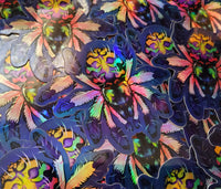 Typhochlaena seladonia holographic sticker - Brazilian jewel tarantula - Spider arachnid invertebrate new world T. seladonia holo rainbow