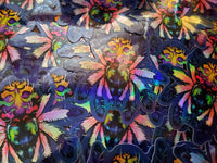 Typhochlaena seladonia holographic sticker - Brazilian jewel tarantula - Spider arachnid invertebrate new world T. seladonia holo rainbow