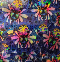 Typhochlaena seladonia holographic sticker - Brazilian jewel tarantula - Spider arachnid invertebrate new world T. seladonia holo rainbow