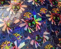 Typhochlaena seladonia holographic sticker - Brazilian jewel tarantula - Spider arachnid invertebrate new world T. seladonia holo rainbow