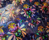 Typhochlaena seladonia holographic sticker - Brazilian jewel tarantula - Spider arachnid invertebrate new world T. seladonia holo rainbow