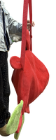 UPCOMING PRE-ORDER - Bear Chow Salmon Meat Bag