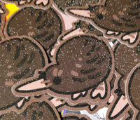 Kiwi Sticker