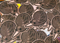 Kiwi Sticker