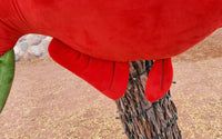 PRE-ORDER - Bear Chow Salmon Meat Bag