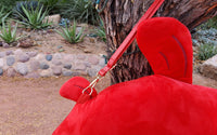 PRE-ORDER - Bear Chow Salmon Meat Bag
