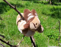 Bantam Draguette