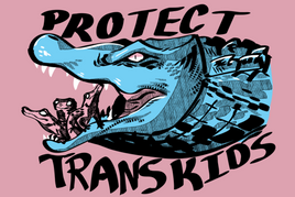 "PROTECT TRANS KIDS" Mini Print