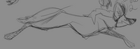 INTEREST CHECK - Maned Wolf