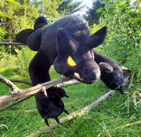 UPCOMING RELEASE - Black Werewolf
