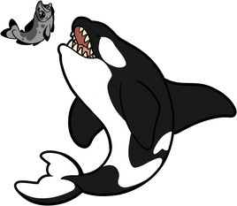 PRE-ORDER - Orca Pin + Magnet Set