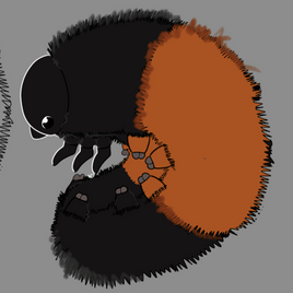 INTEREST CHECK - Wooly Bear Bag