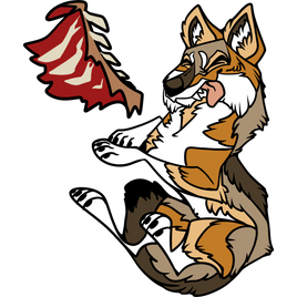 PRE-ORDER - Coyote Pin + Magnet Set